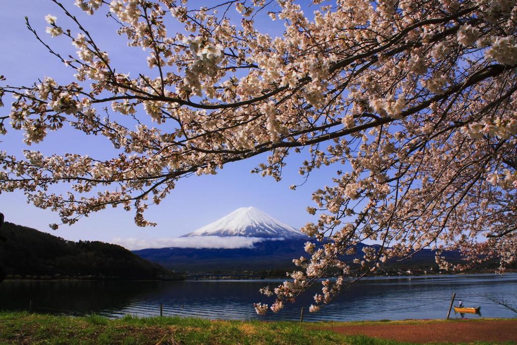 Manten-no-Hoshi-Hakone-Ryokan-Japan-Mt-Fuji